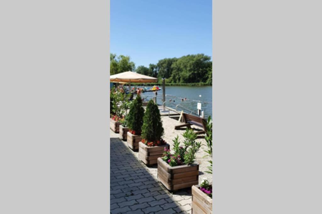 Eva Haza Nyugalom/Pihenes/Relax Villa Sopron Bagian luar foto